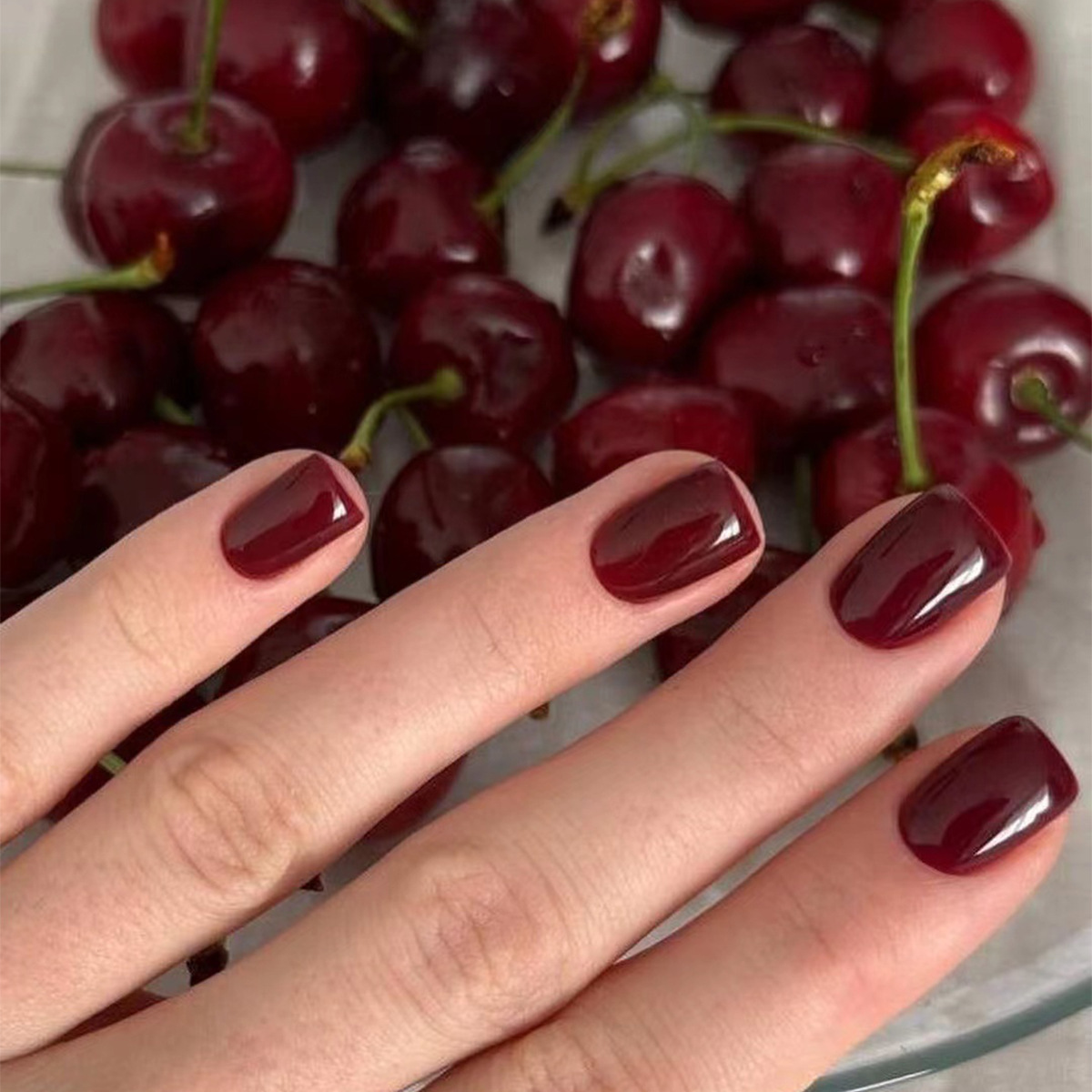 24Pcs Solid Color Press on Nai - Nail Art Cat Eye 리뷰 및 가격